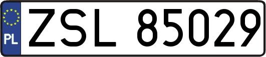 ZSL85029