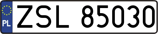 ZSL85030