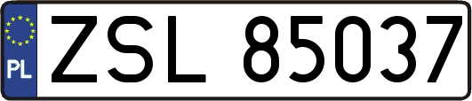 ZSL85037