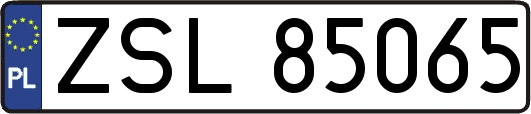ZSL85065