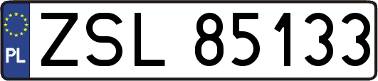 ZSL85133
