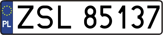 ZSL85137