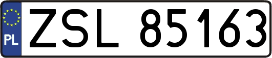 ZSL85163