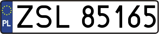 ZSL85165