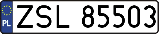 ZSL85503