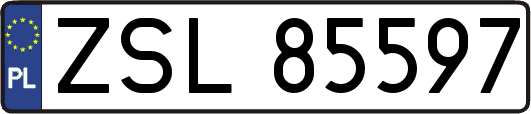 ZSL85597