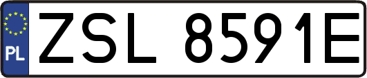 ZSL8591E