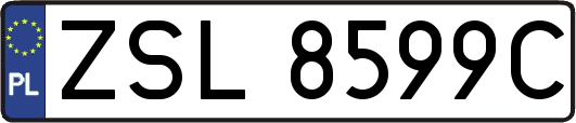 ZSL8599C