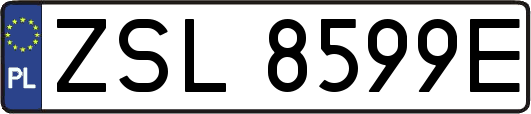 ZSL8599E