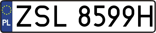 ZSL8599H