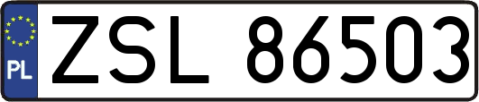 ZSL86503