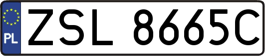 ZSL8665C