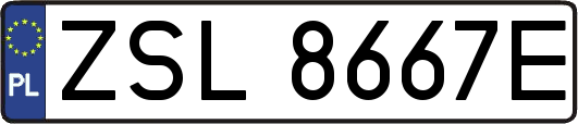 ZSL8667E