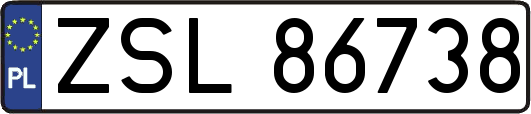 ZSL86738