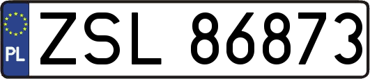 ZSL86873