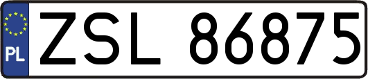 ZSL86875