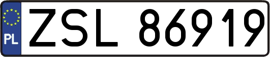 ZSL86919