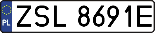 ZSL8691E