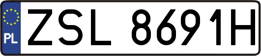 ZSL8691H