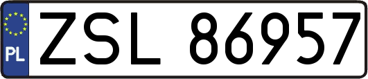 ZSL86957