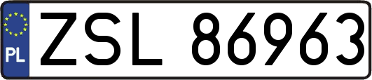ZSL86963