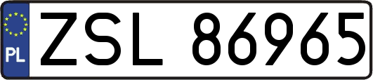 ZSL86965