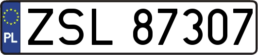 ZSL87307