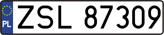 ZSL87309