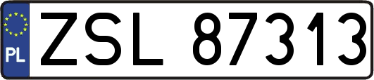 ZSL87313