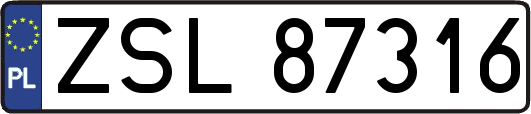 ZSL87316