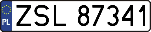 ZSL87341