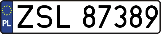 ZSL87389