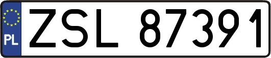 ZSL87391