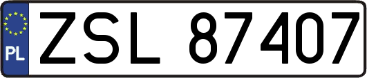 ZSL87407