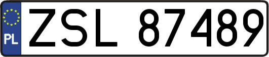 ZSL87489
