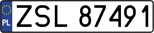 ZSL87491