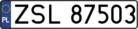 ZSL87503