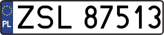 ZSL87513