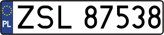 ZSL87538