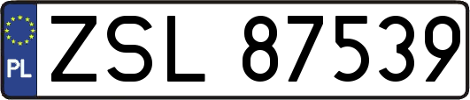 ZSL87539