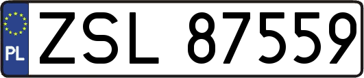 ZSL87559