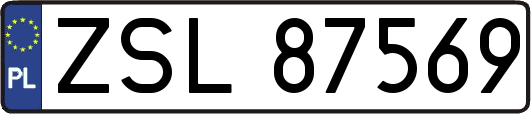 ZSL87569