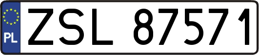 ZSL87571