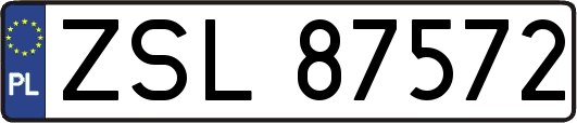 ZSL87572