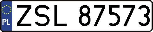ZSL87573
