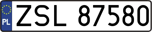 ZSL87580