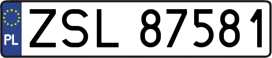 ZSL87581