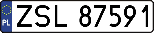 ZSL87591