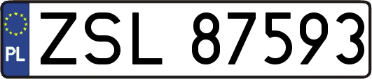 ZSL87593