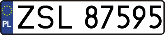 ZSL87595